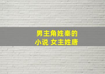 男主角姓秦的小说 女主姓唐